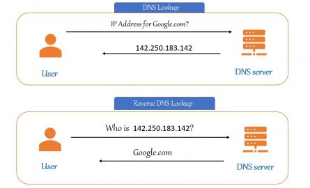 Reverse Dns Ptr Data